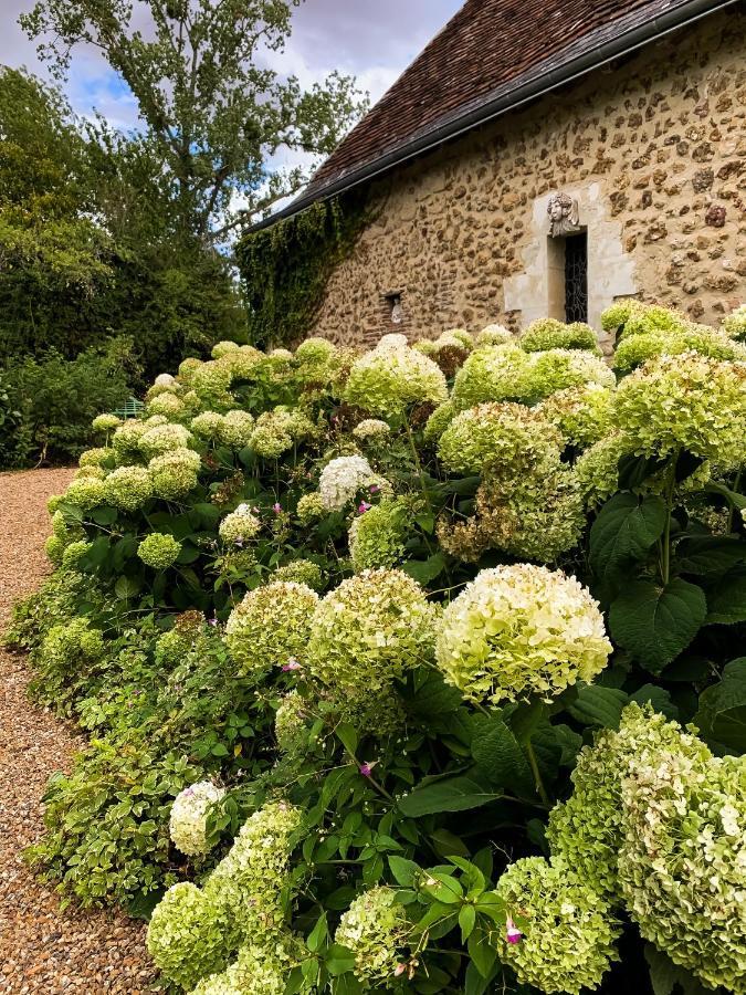 Le Manoir De Maucartier Bed & Breakfast Monnaie ภายนอก รูปภาพ